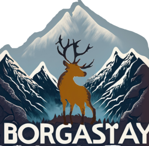 Borgastay
